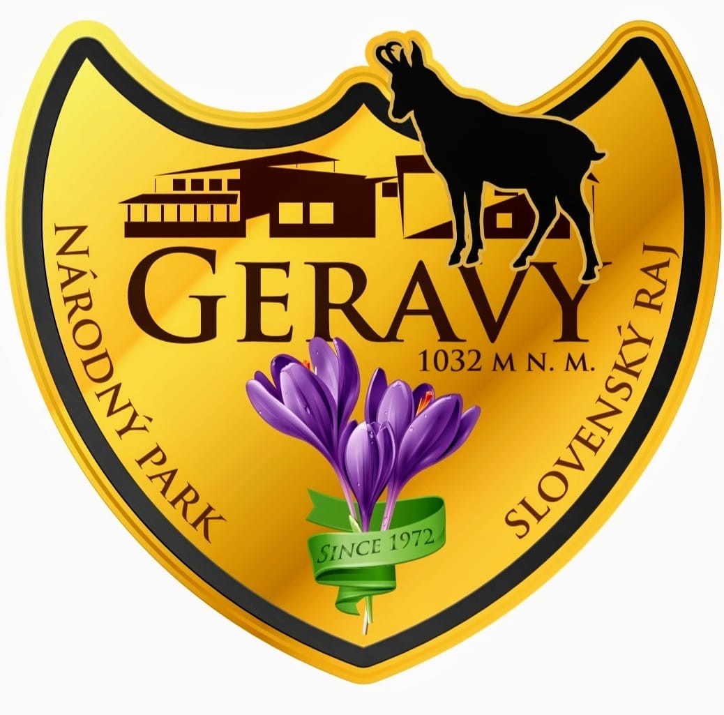 Logo Geravy